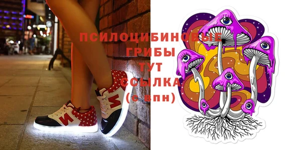 дживик Киренск