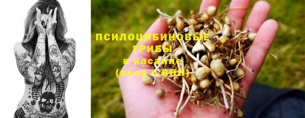 дживик Киренск