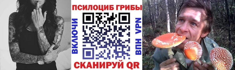 Псилоцибиновые грибы Psilocybe Купить закладки Каменка